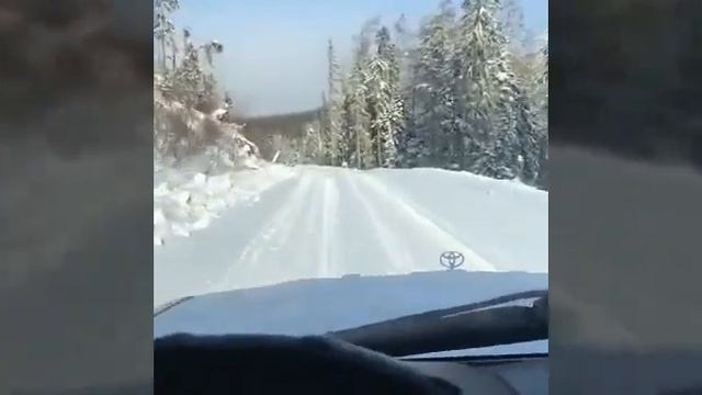 Тайга да километры(Елена Ваенга)