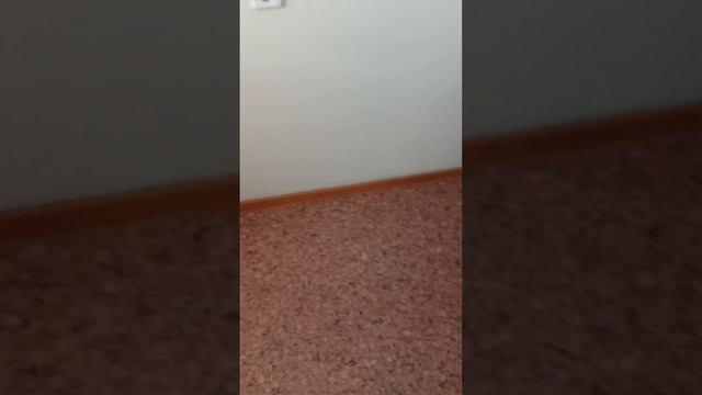 Пересилили сироту в маневренный фонд , смотреть онлайн