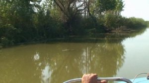 Подводные просторы России №6. Астраханские путешествия. Астория День II. Амазонки. Охота на карася..