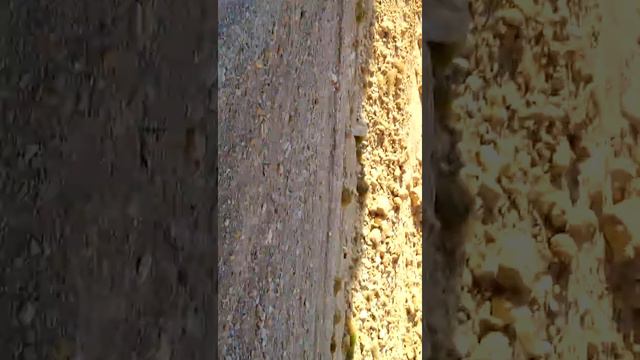 ВелоИзраиль. Декабрь-2014. По дороге к Парку Тимна. Пустыня Негев. (23.12.14) смотреть онлайн