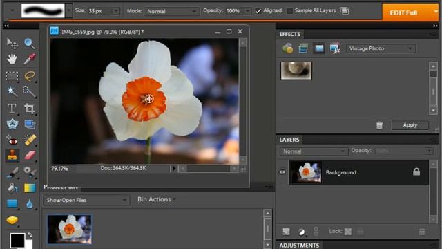 Photoshop Elements 9.0 Tutorial The Clone Stamp Tool Adobe Training Lesson 13.12 смотреть онлайн