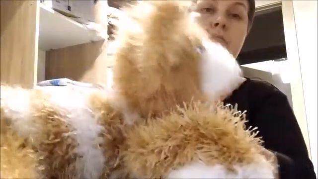 Изготовление марионетки Рыжий Кот. Мастерская Виты Власс. +7(918)1157053 смотреть онлайн