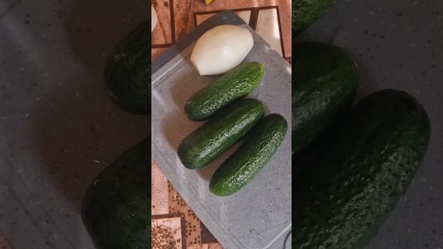 кальмаровый.mp4