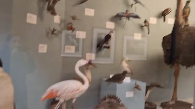 The British Museum Tour | Virtual Tour in British Museum London Part1 смотреть онлайн