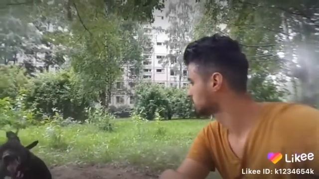 СОБАКА КРУТИТСЯ ??