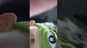 Дай голды