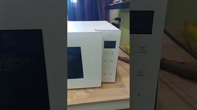 Ремонт магнетрона 2M286 21TBGS смотреть онлайн