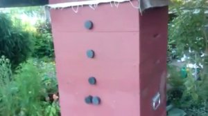 Среднерусская порода против карпатской