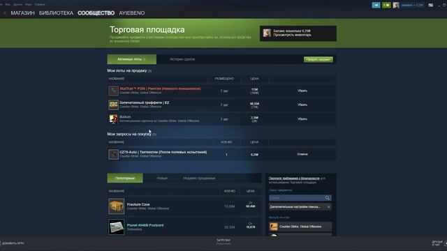 Купите пожалуста мой предметы в Steam пожалуйста смотреть онлайн