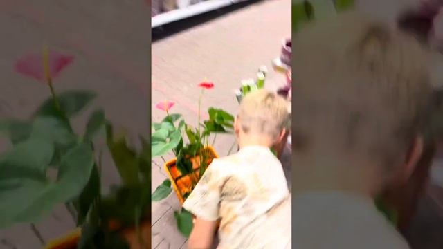 Подарок маме?Сын дарит ?, в магазине смотреть онлайн