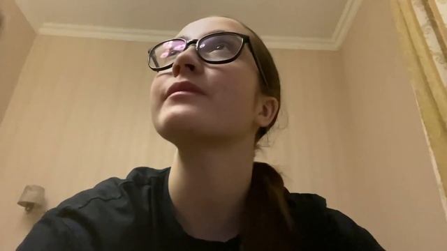VLOG: поездка в Нижний Новгород/конкурс/ и как мы добирались до дома смотреть онлайн
