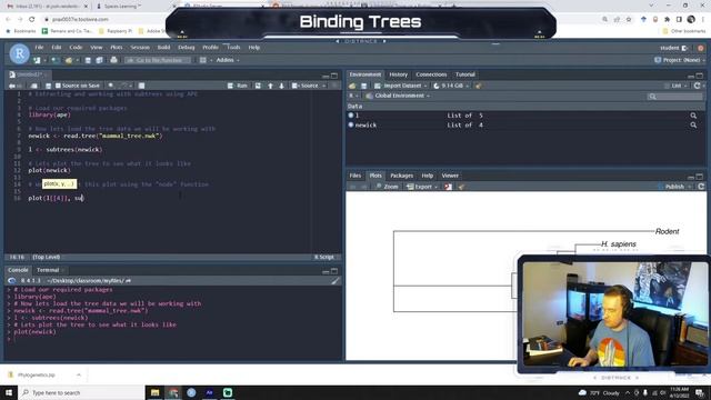 Intro to Bioinformatics - Binding Trees - VDB Computational Biology смотреть онлайн