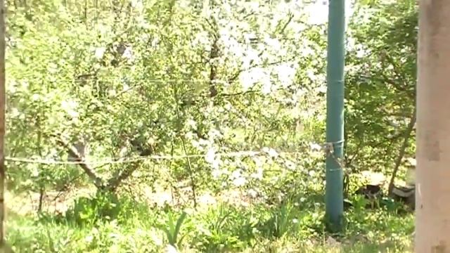 клубника с красными цветочками смотреть онлайн