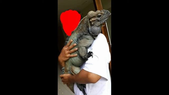 Cryptid profile [Episode 2] Loveland frog смотреть онлайн