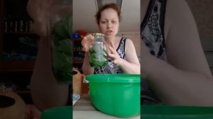 Заготавливаем на зиму листья винограда.