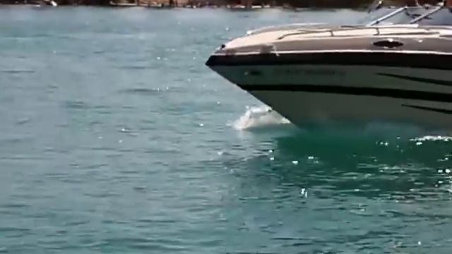 Boat Trip Jumping Boat прогулка на катере Русская Америка