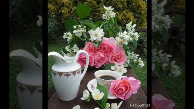 Желаю всем доброго,прекрасного, счастливого утра! смотреть онлайн