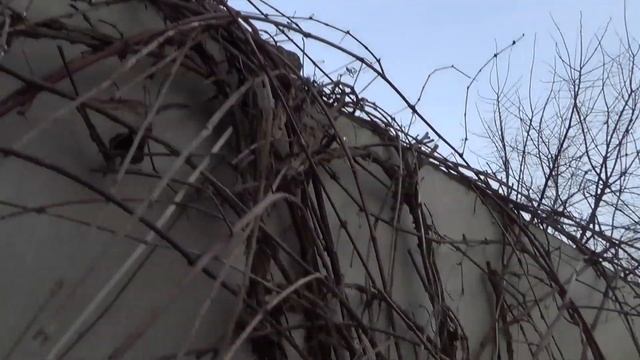 Лишние детали на мотоцикле ИЖ Планета 5 