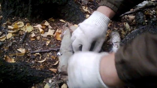 жертвоприношение Кали Kali Sacrifice