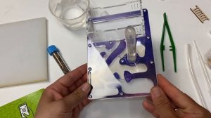 Моя новая Муравьиная ферма МИСТЕР АНТ / Распаковка и заселение !