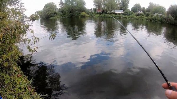 KEITECH Hog Impact и крючки MIKADO для чебурашек