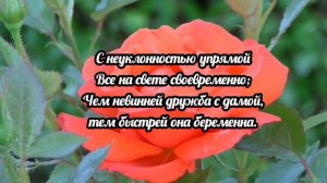 Игорь Губерман. стихи о женщинах