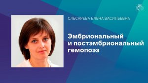 Слесарева Е.В. Эмбриональный и постэмбриональный гемопоэз