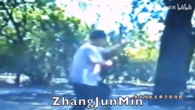 Старое видео по Лян ши (梁式) багуачжан (八卦掌）- лаоба чжан (老八掌) или "Восемь старых ладоней". смотреть онлайн