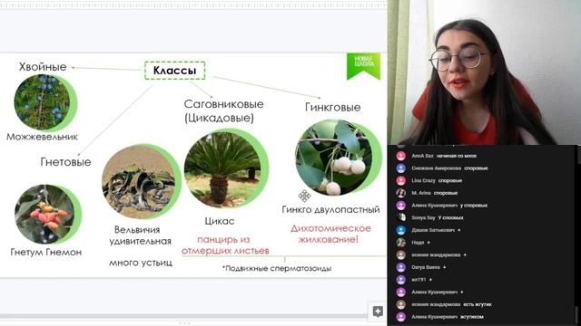 Мини-урок "НШ | Биология. Голосеменные и покрытосеменные." смотреть онлайн