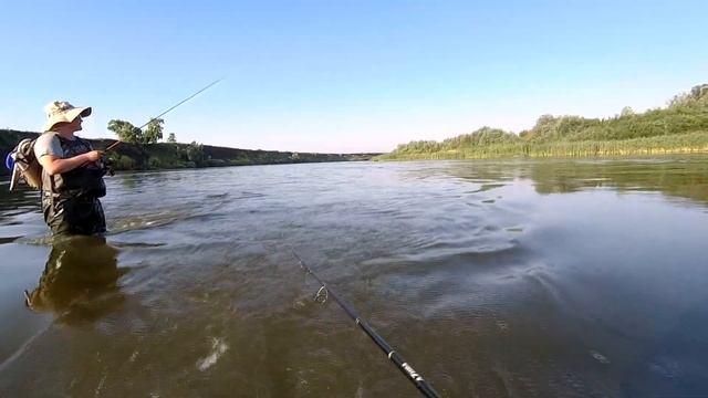 Рыба чуть не вырвала спиннинг из рук |Голавль жерех окунь на спиннинг | Рыбалка на Дону смотреть онлайн