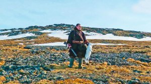 Охота на гуся, утку и зайца. Рыбалка осенью и зимой на Севере | С полем! Лучшие выпуски