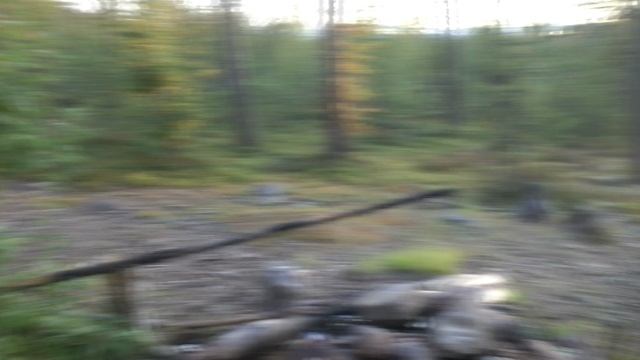 явр 2012.avi смотреть онлайн