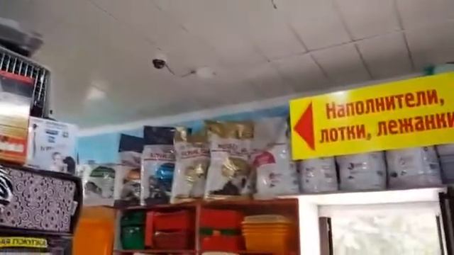 Зоомагазин Мухтар Шымкент ул Майлы Қожа-Ташенова смотреть онлайн