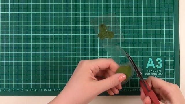 Живые цветы в скрапбукинге | Ламинация растений | Хранение гербария смотреть онлайн