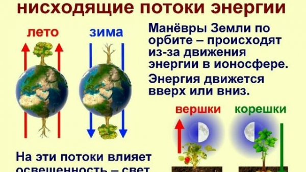 Биофизика. Движение жизни. Легко и просто