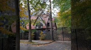 Обзор на канал Наша жизнь в Германии: Как Банару себя ищет