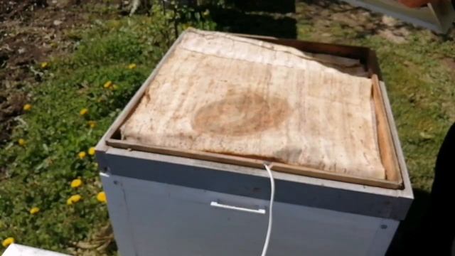 Есть пчелы есть работа с ними.