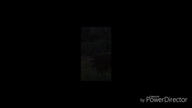 Прогулка по окрестностям.Река Тэр.Жирона.Испания. смотреть онлайн