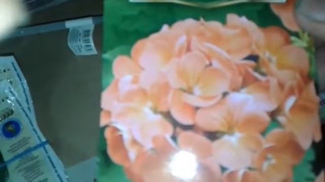 Получила посылку с семенами,посетила магазин Цветовод. смотреть онлайн