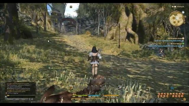 FFXIV Botany/Carpentry Skill Up - Maple Logs/Lumber смотреть онлайн