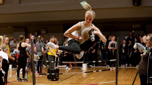 Хоббихорсинг что это?