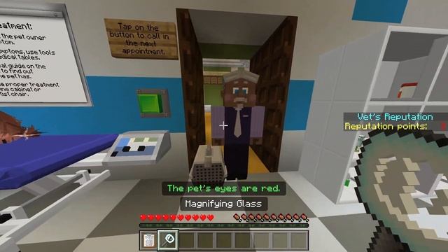 LIFE AS A VET! PET DOCTOR SIMULATOR | MINECRAFT MARKETPLACE SHOWCASE смотреть онлайн