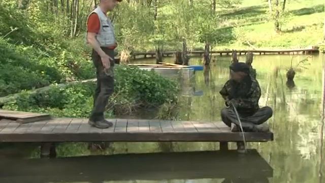 Thermacell Уникальное средство от комаров смотреть онлайн