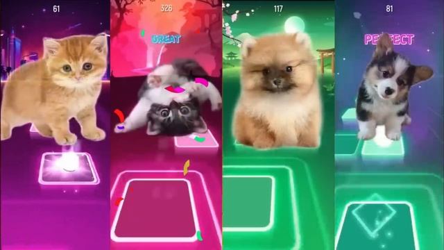 Cute Cats vs Cute Dogs Puppy Bloody Mary Lady Gaga Kid LAROI Justin Bieber | Tiles Hop Edm Rush смотреть онлайн
