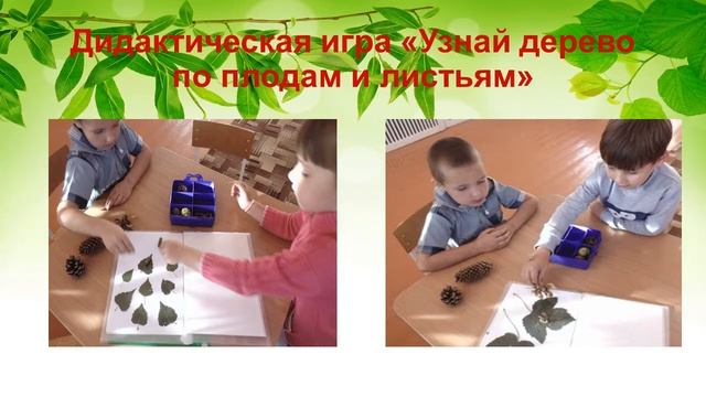 Презентация к проекту "Берегите деревья чтобы мир стал лучше" смотреть онлайн