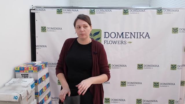 КЛЕМАТИСЫ - обзор посадочного материала смотреть онлайн