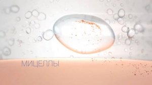 (2015) Garnier (мицеллярная вода) - Даже для чувствительной кожи