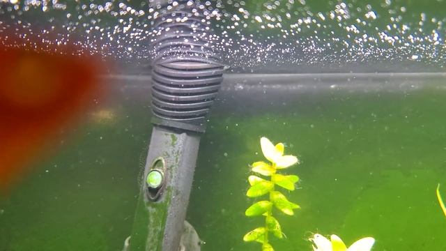 Guide to Aquarium Heaters: 5 Tips for Keeping Your Fish Warm and Toasty смотреть онлайн