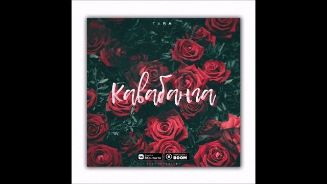TARA202 - Кавабанга смотреть онлайн