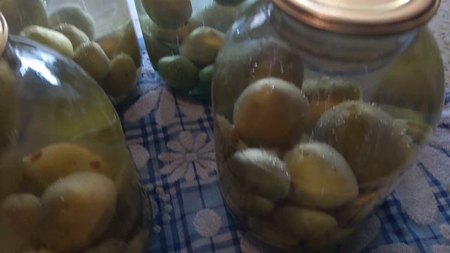 Кулинарные Эксперименты